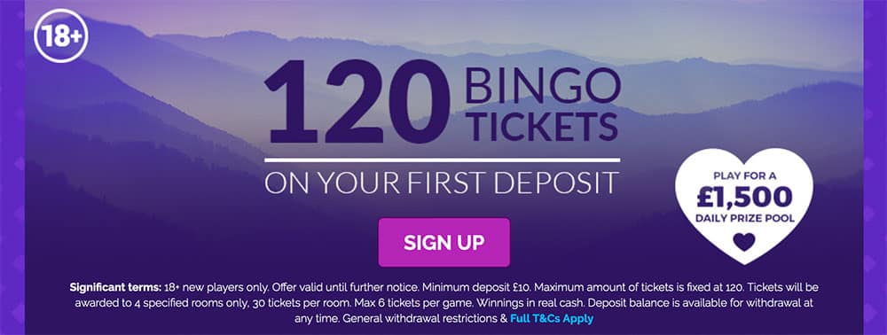 Wish Bingo Bonus Codes