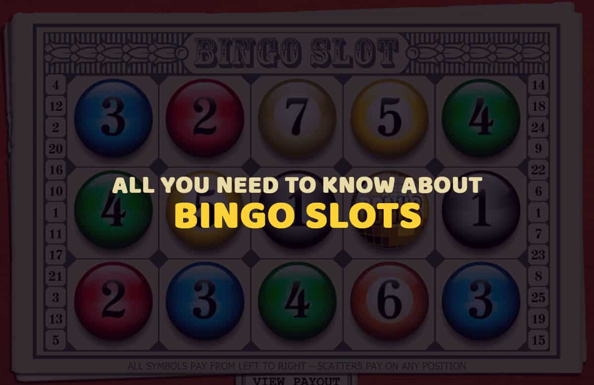 All You Need to Know About Bingo Slots