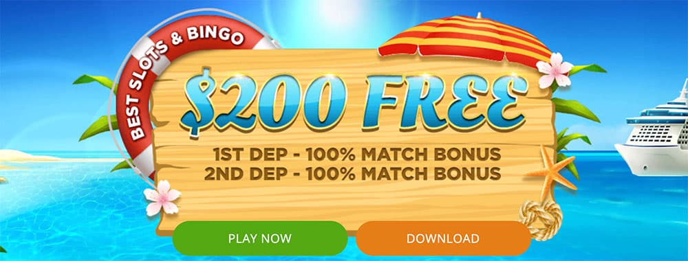 Bingo Liner Bonus Codes