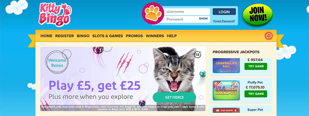 Kitty Bingo Bonus Codes