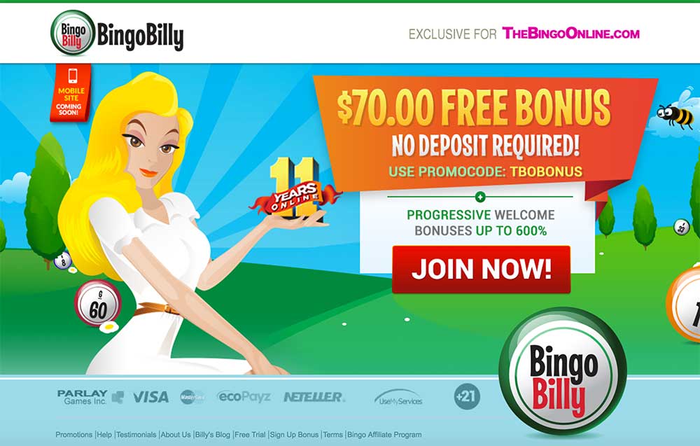 bingo-billy-promo-codes-2023-free-70-no-deposit-bonus