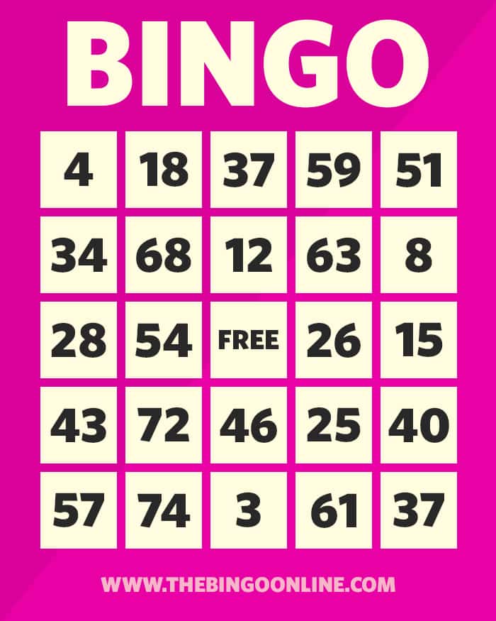 how-to-play-bingo-the-complete-guide-to-play-bingo-games-online