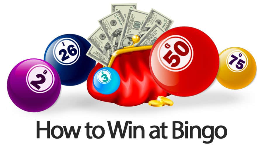 How to win Online Bingo Games - 6 Ultimate Tips & Tricks