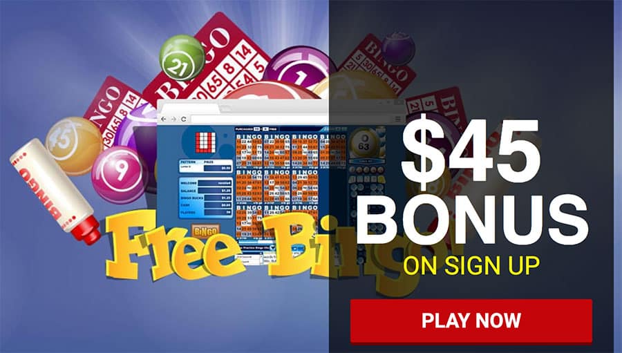 Bingo For Money No Deposit Bonus → GET $45 FREE on Sign Up