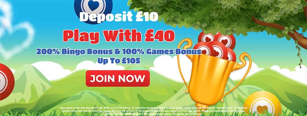 Bingo Hearts Promo Code