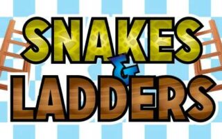 Snakes and Ladders Bingo Game